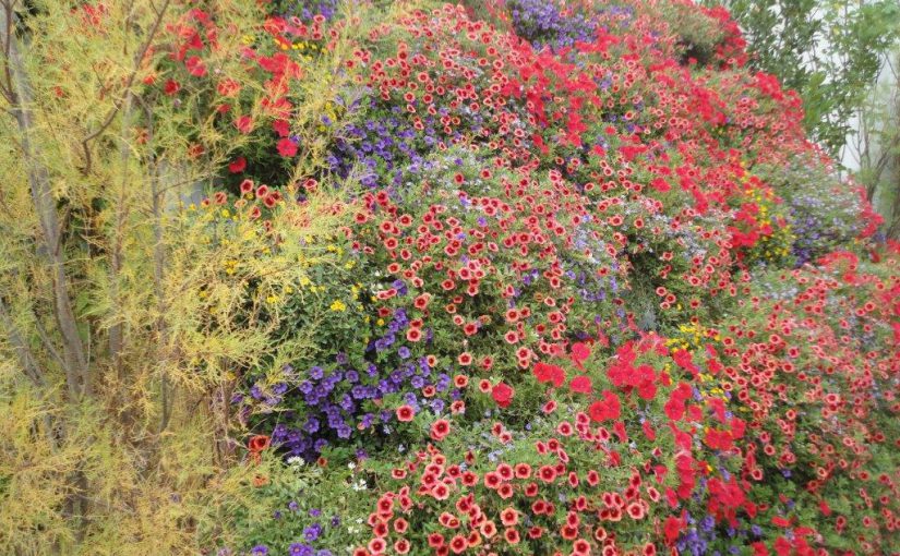 Besuch der Gärten von Kleopatra